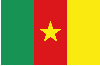 flag cameroun