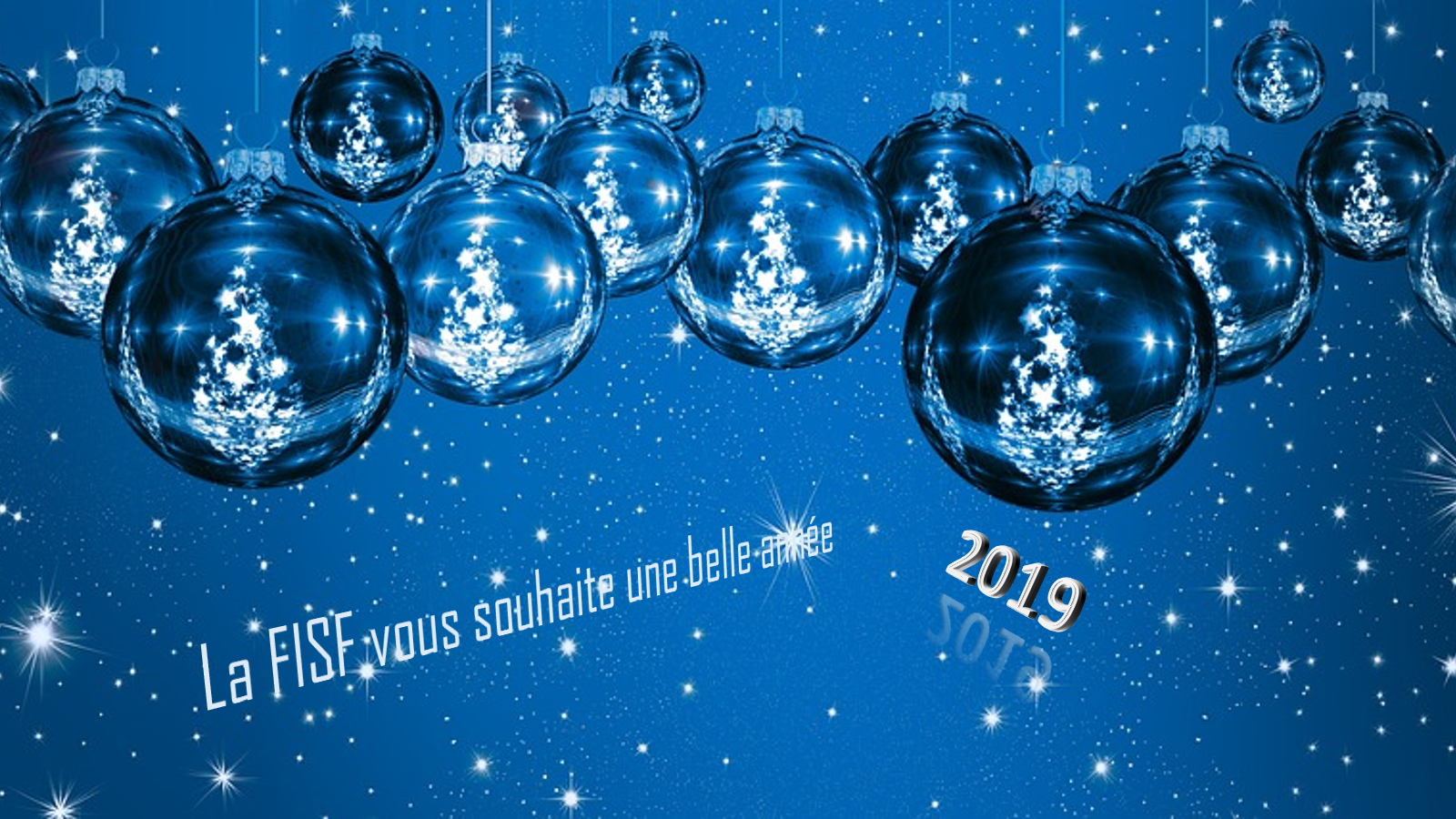 Bonne annee 2019